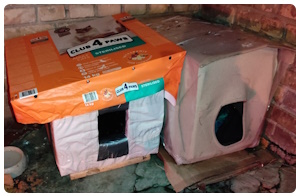 Домик для уличного бездомного котика
